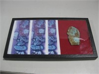 4" Turquoise Piece In Display Case