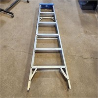 6' Alum Ladder