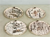 4- Bradex collectors plates- Native theme