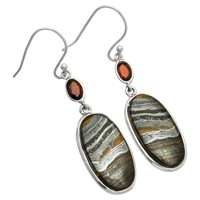 Silver Iron Tiger Eye and Garnet Earrings