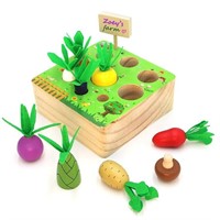 Montessori Wooden Toy | Colorful Vegetable Shape