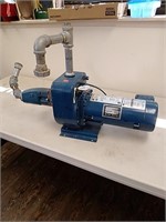 STA-RITE 1 1/2 HP water pump