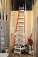 Werner 12 Step Ladder