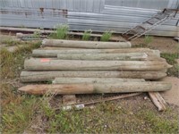 (11) Wooden Grean Treated 9' Posts