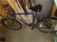 Blue Savannah Adult Bicycle