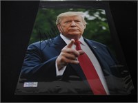 Donald Trump signed 8x10 photo COA