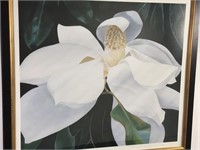 Ginny Genet Magnolia Flower Giclee Print