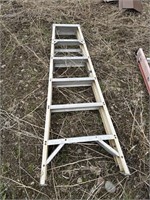 Werner 6 foot ladder