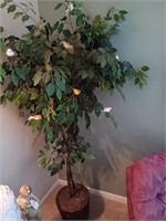 Ficus tree with birds.