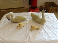 4 Geese, Swans largest is 9"