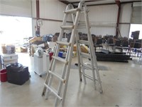 Wing adjustable ladder