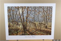 "Autumn Encounter-Whitetail" by Larry Zack 86/2250