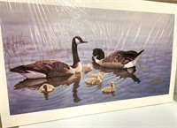 Neil Blackwell Canada Geese Print (NO SHIPPING)