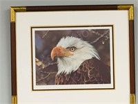 framed print Carl Brenders 545/1950 "Eagle"