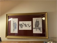 Framed Signed & Numbered Eagle Drawings