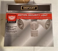 Motion security light