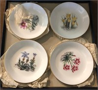 X - ROYAL WORCESTER BINE CHINA PLATES (S9)