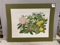 Flowers of America Print Signed & Dated 1976