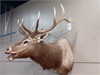 NORTH AMERICAN ELK MOUNT - PERMIT TO SELL