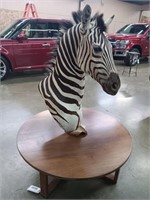 MOUNTAIN ZEBRA WITH ROUND TABLE - PERMIT TO SELL