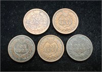 Lot of Five Indian Head Pennies