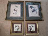 Humming Bird Framed Art Prints
