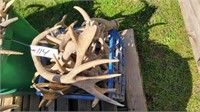 Crate of Antlers