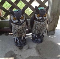 2 owls