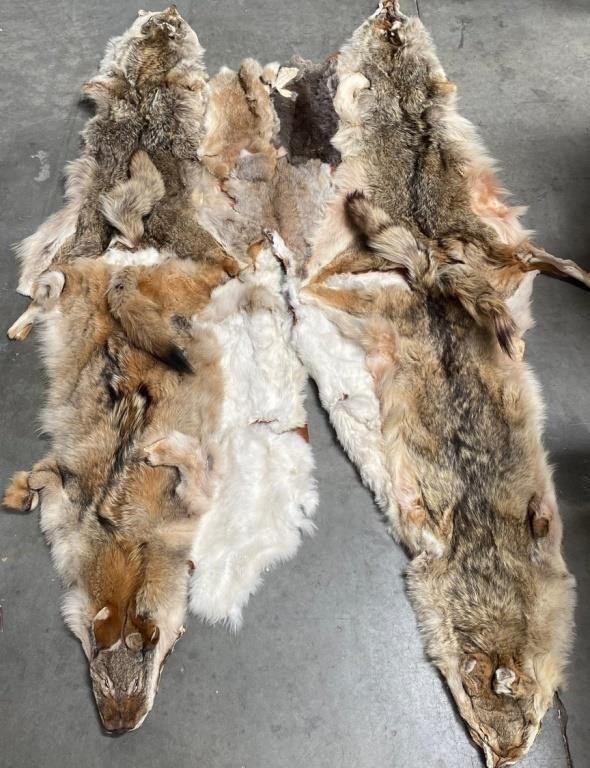 11 - FUR PELT (W149)