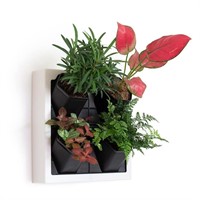 Inspiration Jungle Self Watering Wall Planter with