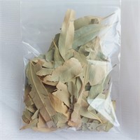 Eucalyptus Leaf - Healing, Protection