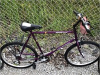 Schwinn High Plains adult bike (used)