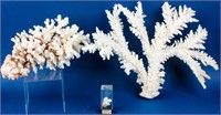 2 Large Coral Reef Specimens Ocean Sea Life