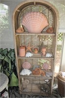 Shelf & Contents -Lovely Shells