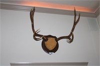 Deer antler mount