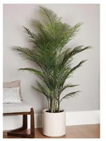 Faux Palm Tree 2 M (6.5 Ft.) ( In Box) C-802