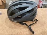 Schwinn Bicycle Helmet NEW