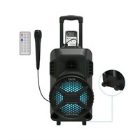 MegaBass LED Speaker With 8in Sub & Mic.