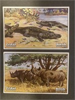 WILD ANIMALS: Set of ERDAL Trade Cards (1928)