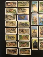 Brooke Bond Animals and Their Young 48 card set