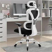 Amzfun Office Chair  Ergonomic Desk Chair with Lum
