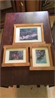 3- Framed Animal Pictures