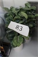 5- artificial plants