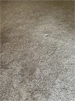 Room of plush carpet, very little use