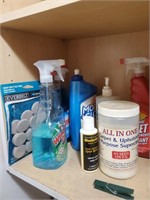 Carpet Cleaner, Windex, Other