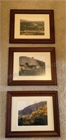 Trio of Framed Photographs 17” x 14”, BEAUTIFUL