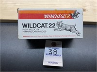 Brick of Winchester Wildcat 22 LR Ammo