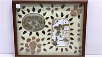 Amazing collection of mounted Arrowheads