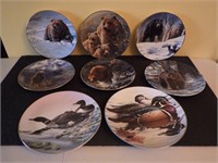 Bear Collector Plates Lot