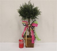 24" Topiary Tree In Wooden Planter